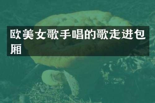 欧歌手唱的歌走进包厢
