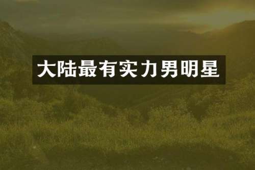 大陆最有实力男明星