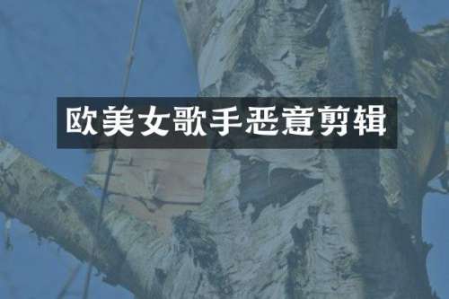 欧歌手恶意剪辑