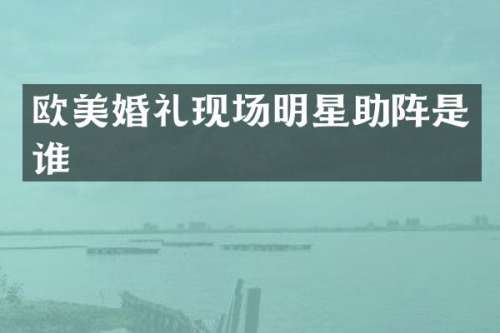 欧美婚礼现场明星助阵是谁