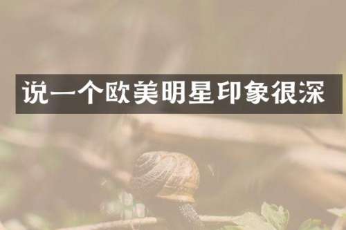 说一个欧美明星印象很深