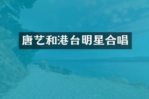 唐艺和港台明星合唱