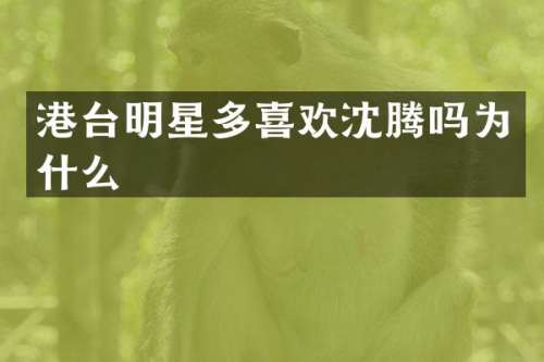 港台明星多喜欢沈腾吗为什么