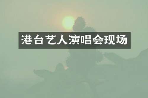 港台艺人演唱会现场