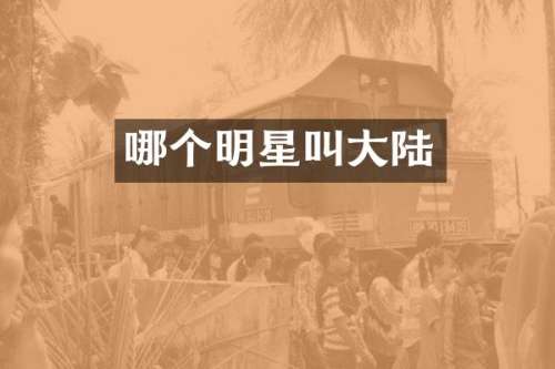 哪个明星叫大陆