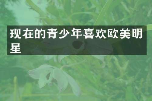 现在的青少年喜欢欧美明星