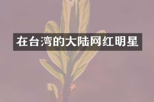 在台湾的大陆网红明星