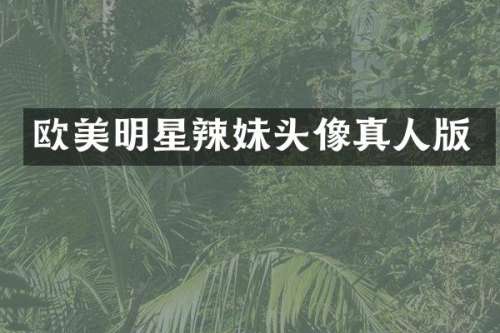 欧美明星辣妹头像真人版