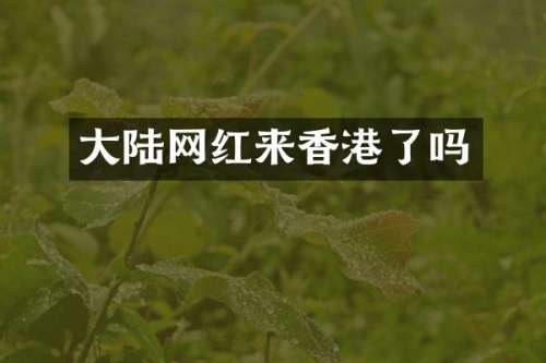 大陆网红来香港了吗