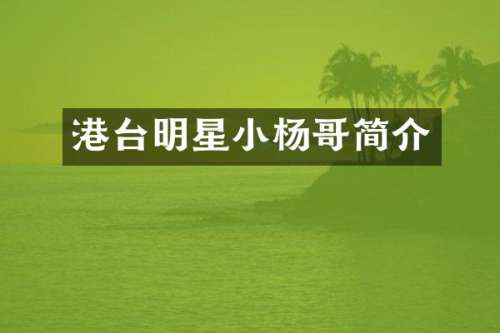 港台明星小杨哥简介