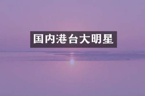 国内港台大明星
