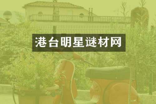港台明星谜材网