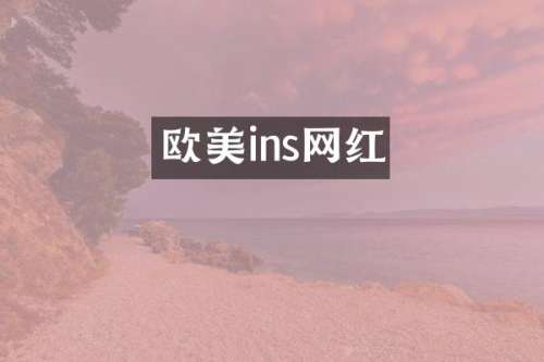 欧美ins网红