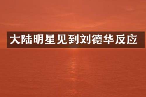 大陆明星见到刘德华反应