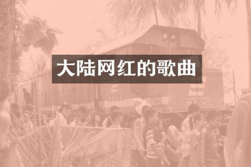 大陆网红的歌曲
