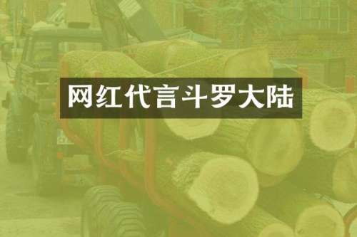 网红代言斗罗大陆