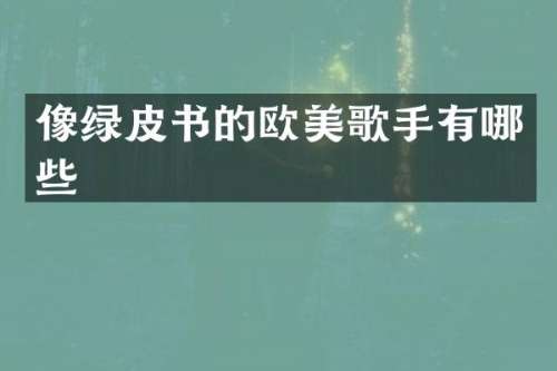 像绿皮书的欧美歌手有哪些