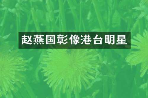 赵燕国彰像港台明星