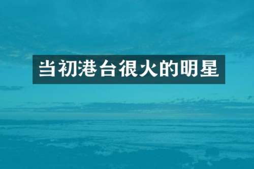 当初港台很火的明星