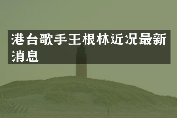 港台歌手王根林近况最新消息