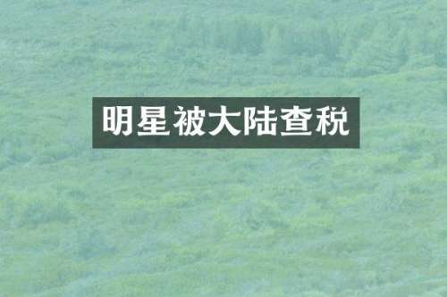 明星被大陆查税