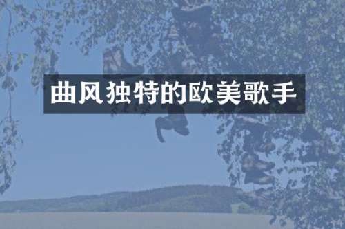 曲风独特的欧美歌手