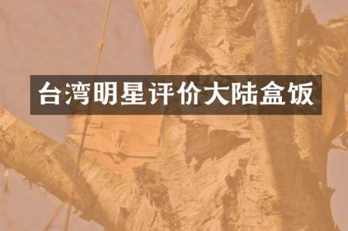 台湾明星评价大陆盒饭