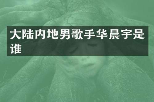 大陆内地男歌手华晨宇是谁