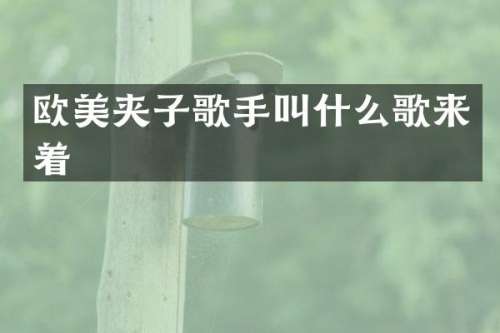 欧美夹子歌手叫什么歌来着