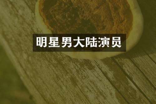 明星男大陆演员
