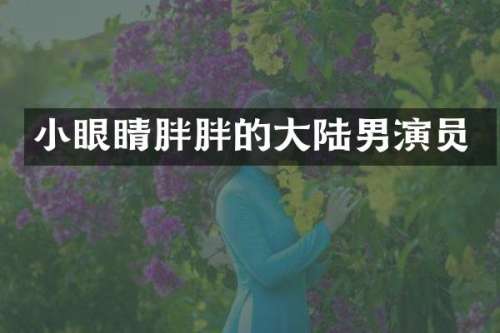 小眼睛胖胖的大陆男演员