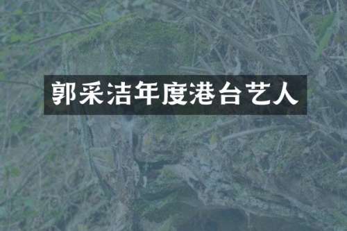 郭采洁年度港台艺人