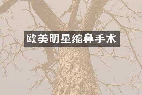 欧美明星缩鼻手术