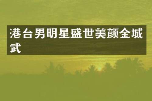 港台男明星盛世美颜金城武