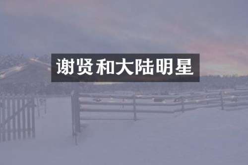 和大陆明星