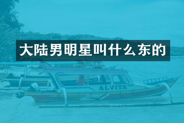 大陆男明星叫什么东的