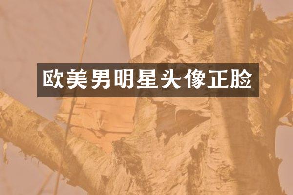 欧美男明星头像正脸