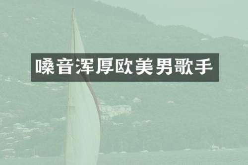 嗓音浑厚欧美男歌手