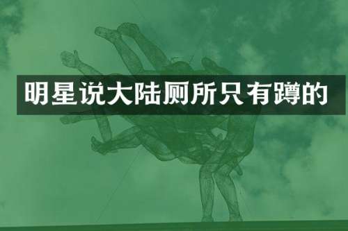 明星说大陆厕所只有蹲的