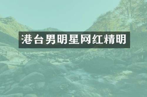 港台男明星网红精明