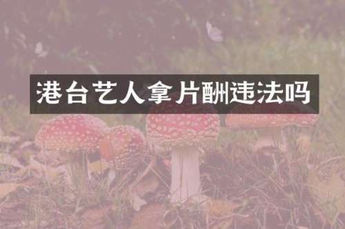 港台艺人拿片酬违法吗
