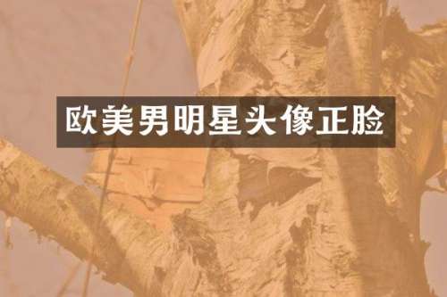 欧美男明星头像正脸