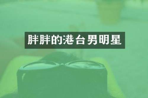 胖胖的港台男明星