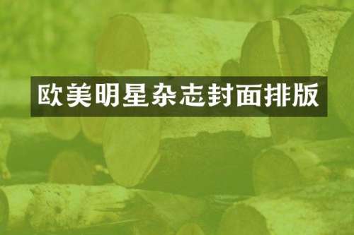 欧美明星杂志封面排版