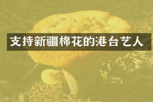 支持新疆棉花的港台艺人