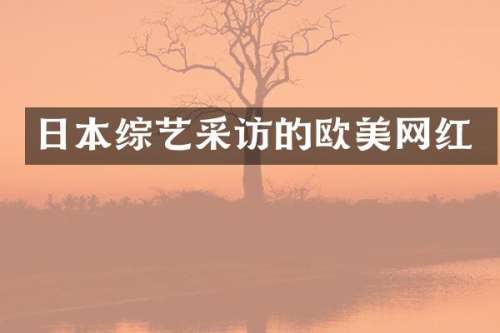 日本综艺采访的欧美网红