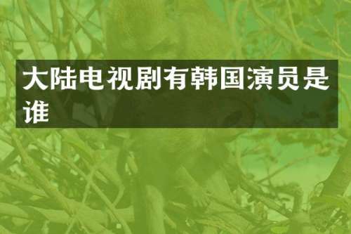 大陆电视剧有韩国演员是谁
