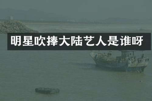 明星吹捧大陆艺人是谁呀