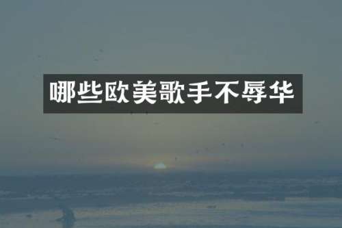 哪些欧美歌手不辱华