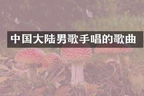 中国大陆男歌手唱的歌曲